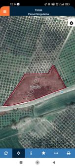 Bursa Mudanya Çamlık Satılık 3320 M2 Ana Asvalta Sıfır Tarla