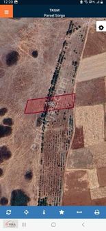 Yol, Su Var İçinde 40 Kadar Ağaç Var