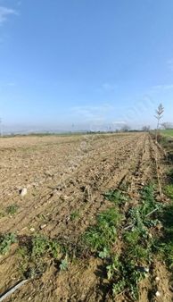Nursima Emlak'tan Satılık Sulu Tarla