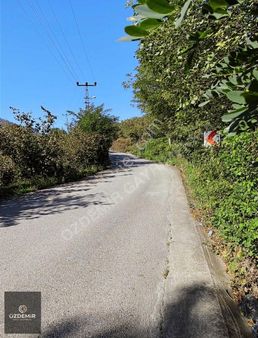 Bucak Mah Öceli Sınırı Satılık 3007 M2 Bahçe