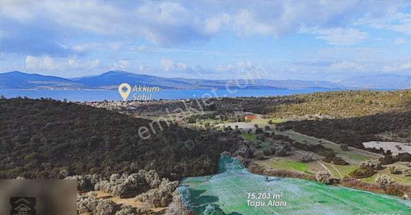 Urla Özbek İmar Uygulaması İçinde Kalan Satılık Tarla