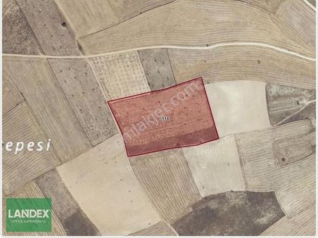 Landex Offıce Den Çal Dayılar Da 16800 M2 Tarlamız Satılıktır