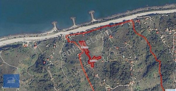 Giresun Görele Yalıköyde Satılık Fındık Bahçesi