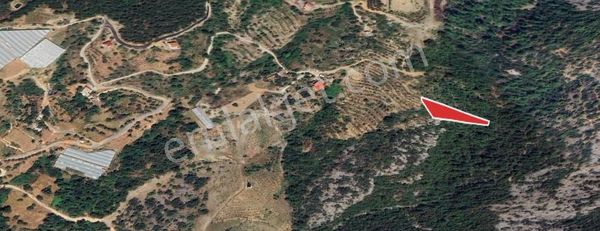 Alanya Kocaoğlanlı Mahallesinde 1.845 Mt2 Tarla