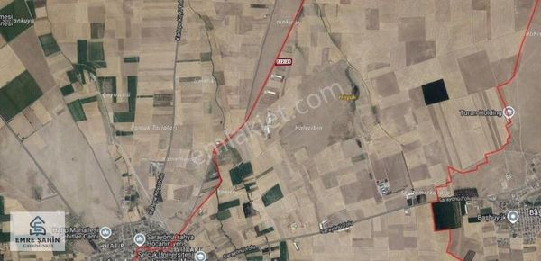 Sarayönü Yukarı Mah. Gözlü Cad. Üzeri Kupon Fiyat Tarla