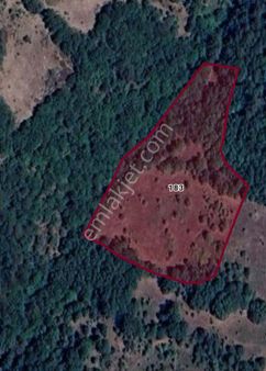 Çanakkale Yenice Çınar Köyü Satılık Tarla