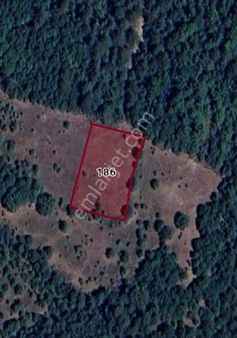 Çanakkale Yenice Çınarköy Satılık Tarla