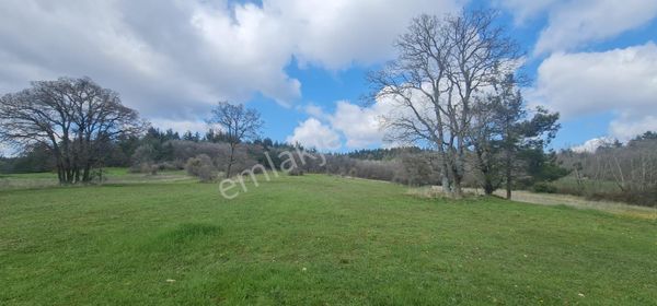Lapseki Nusretiye Köyünde Baraja Ve Köye Yakın Konumda Verimli Tarla..