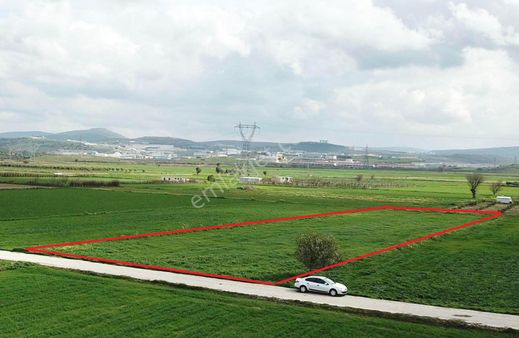 Fırsat ! Alosbi Yoluna Yakın Kadastral Yola Cephe Satılık Tarla