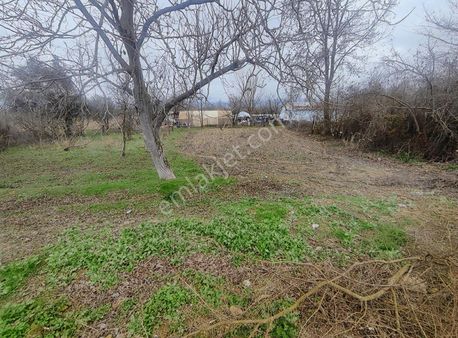 Sng Gayrimenkul'den Hobi Bahçelik İmarlı