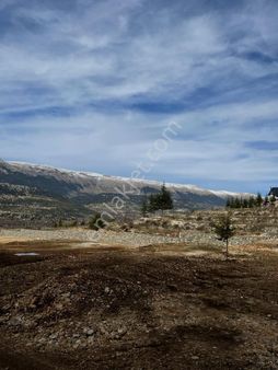 Doğanın Kalbinde Arslanköy'de Satılık 1336 M² Arazi