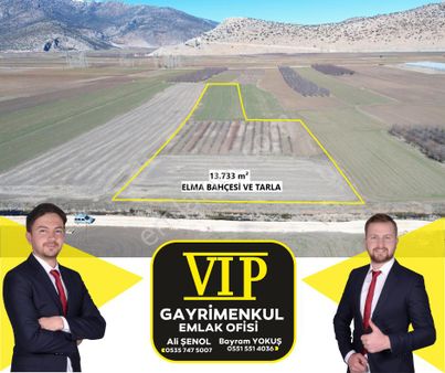 Vıp Gayrimenkul' Den 13.733 M² Kuzköy Mah. Elma Bahçesi Ve Tarla
