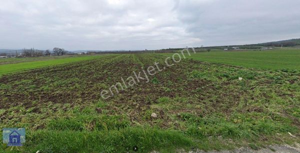 Bursa Mudanya Küçükyenice Köyünde 17.500m2 Satılık Arsa