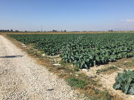 Salihlide Satılık Tarla