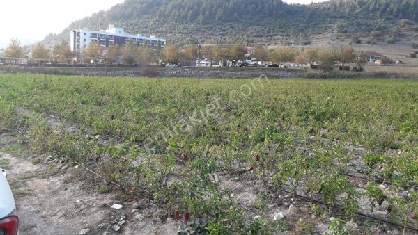 Balıkesir Altıeylül Cinge De Demirdağ Emlaktan Satılık Tarla.