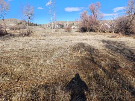 Ulukışla Eminlikte Cazip Fiyata Satılık Tarlalar