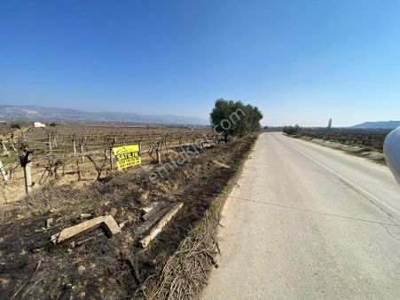🏠lider Gayrimenkul' Den Alhan Köyünde Asvalta Sıfır Satılık Kupon 20 Dönüm Bağ🏠