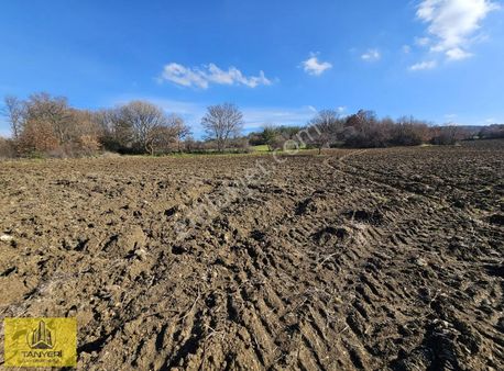 Kızılkeçili Köyü İmara 300 Mt Deniz Gören Kadastral Yola Cephe