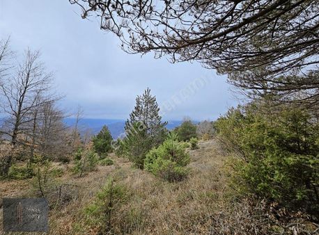 Tuzaklı Köyünde 3012m2 Doğa Manzaralı Satılık Arazi