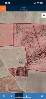 Harika Bir Cevizlik Ce Meyvelik