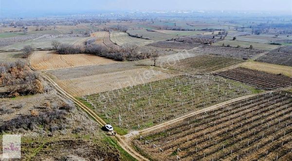 Real Estate Çatalcadan Satılık Kızılcıkdere Köyü Satılık Bağlık