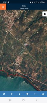 Bursa Orhangazi Keramet Mahallesi Satılık Zeytinlik