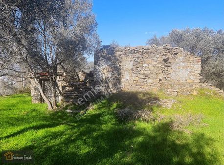 Milas Karacahisarda Köy İçi Kağir Ev Ve 980 M2 Arsası