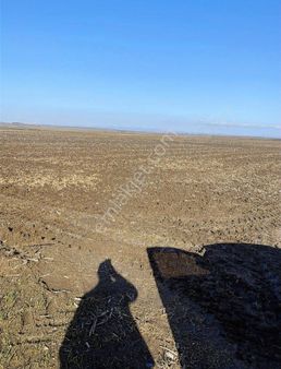 Misinlide 389 M2 Hızlı Tren Projesine Yakın Yatırımlık Tarla