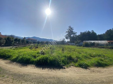 Muğla Köyceğiz Beyobası Mahallesinde Satılık 1500 M2 Tarla