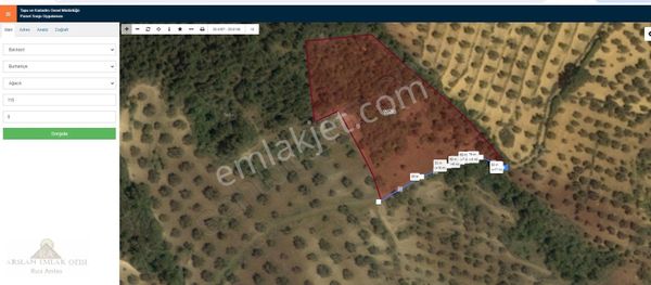Arslan Emlaktan Balıkesir Burhaniye Ağacık'ta 7.300 M2 Zeytinlik