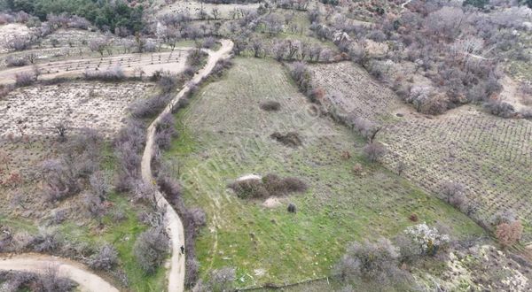 Çanakkale Bayramiç Gedik Köyü Satılık Arazi