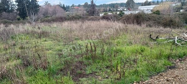 Muğla Köyceği Pınar Mahallesinde Satılık 500 M2 Tarla