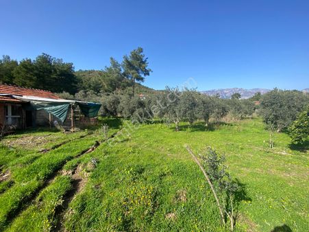 Muğla Köyceği Beyobası Mahallesinde Satılık 1500 M2 Tarla