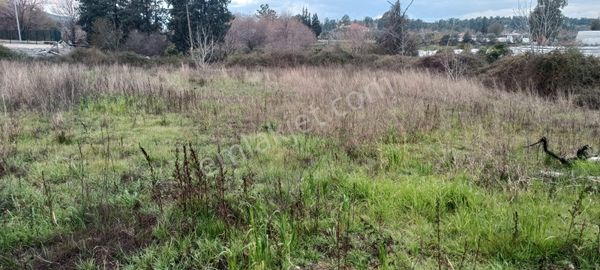 Muğla Köyceğiz Pınar Mahallesinde Satılık 500 M2 Tarla