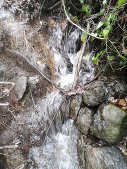 Özcan Emlak' Tan Muğla Köyceğiz Sazak Mah Satılık Tarla