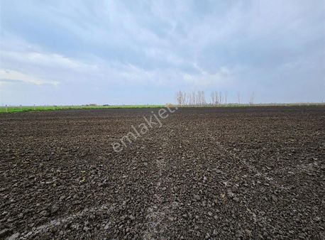 Torbalı Aslanlar Da Satılık Tarla 8.750 M², Yolu Mevcut