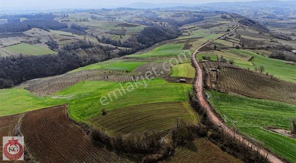 Kandıra Ömerli Mahallesi Muhteşem Konumda Satılık Arazi