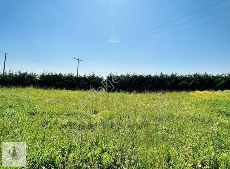 Doğa İçerisinde Özel Yapım Lüks Satılık Villa