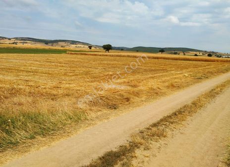 Çanakkale Biga Örtülüce'de Yatırımlık Tarla
