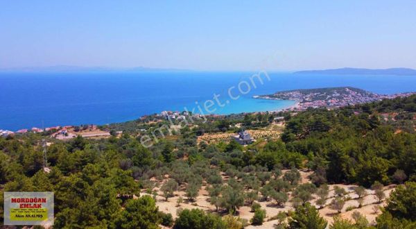 Mordoğan Emlaktan Full Deniz Mnz 2720 M2 Satılık Z.ağaçlı Tarla