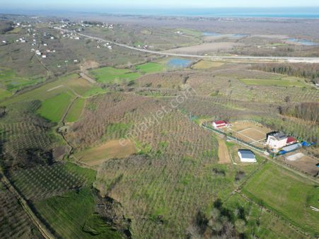 Üçoluk'da Yola, Yerleşim Yerine 100mt ''yatırımlık 10 Dönüm'' Satılık Fındık Bahçesi