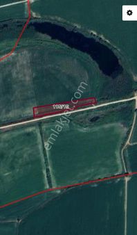 Germencik Üzümlüde Yola 150 Metre Cepheli Satılık Tarla