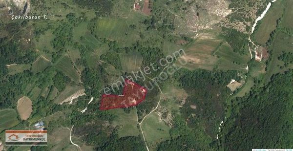 Tayfuroğlundan Satılık Şile İmrenderede Yatırımlık 9090 M2 Tarla