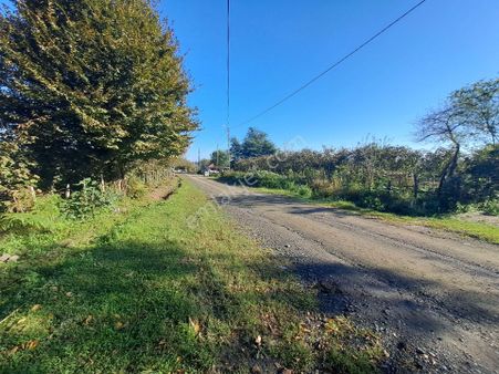 Alibey'den Terme Şeyhli Mah.de 13.300m2 Satılık Fındıklık