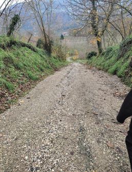 Akyazı Nur Emlaktan Taşburu M.h 10438m2 2bin M2 Si İmarlı Fındık