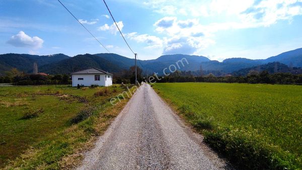 Dalyan Okçularda 1015 M2 Müstakil Tapulu Fırsat Arsa (oka07)
