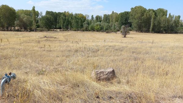 Akören Tülce Mah. Yola Cepheli Sulu Bahçelik Harika Tarla