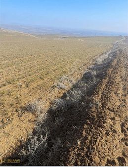 Kösehacılı Köyünde Yola Yakın Düz Verimli Ekili Tarla