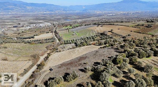 Geyveye 5 Dakika Safibey Mh.2250 M2 Asfalta Sıfır Manzaralı