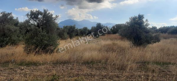 Satılık Yatırımlık Lojistik Bölgesinde